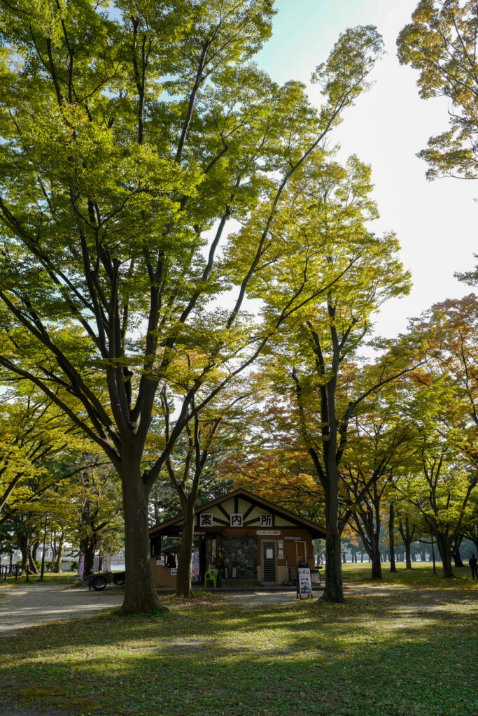 横浜でお手軽デイキャン！野島公園キャンプ場の管理棟