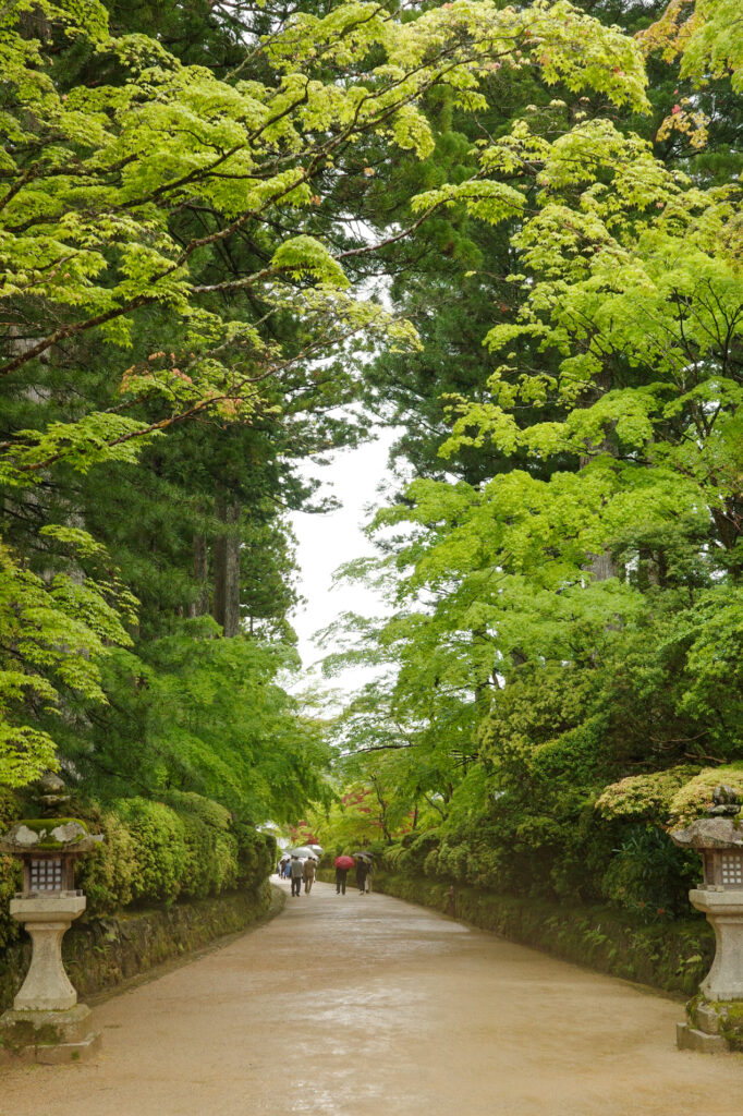 和歌山　高野山　蛇腹路