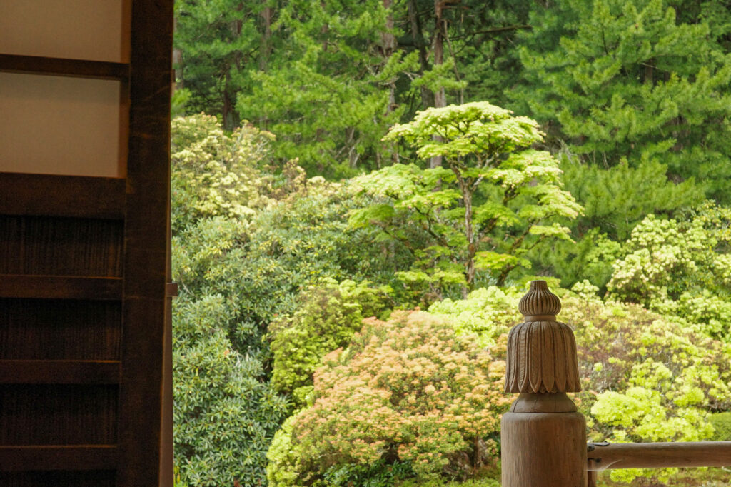 和歌山　高野山　金剛峯寺　蟠龍庭