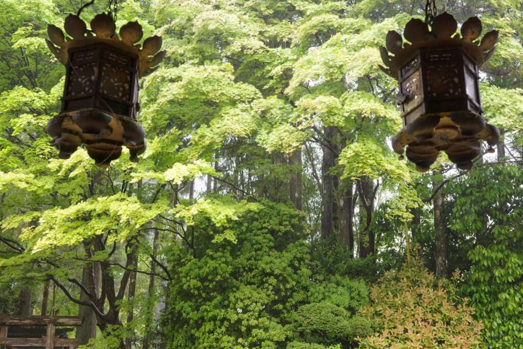 高野山　宿坊　福智院