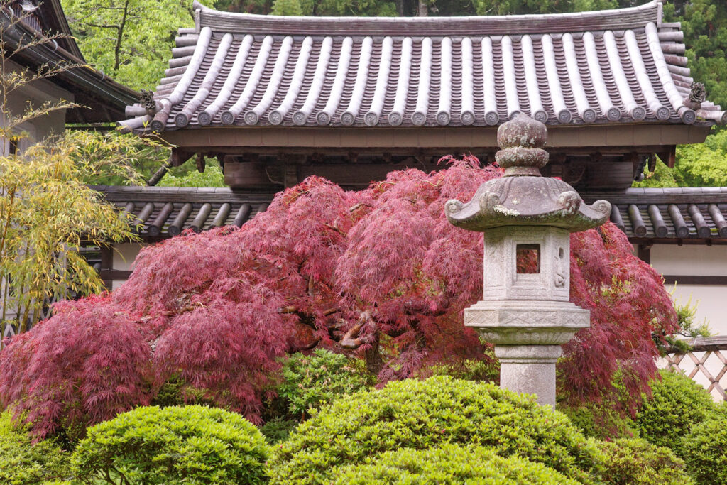 高野山　宿坊　福智院