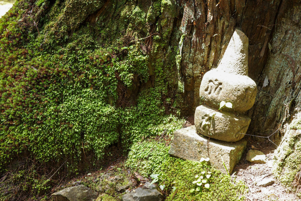 高野山　奥の院散策