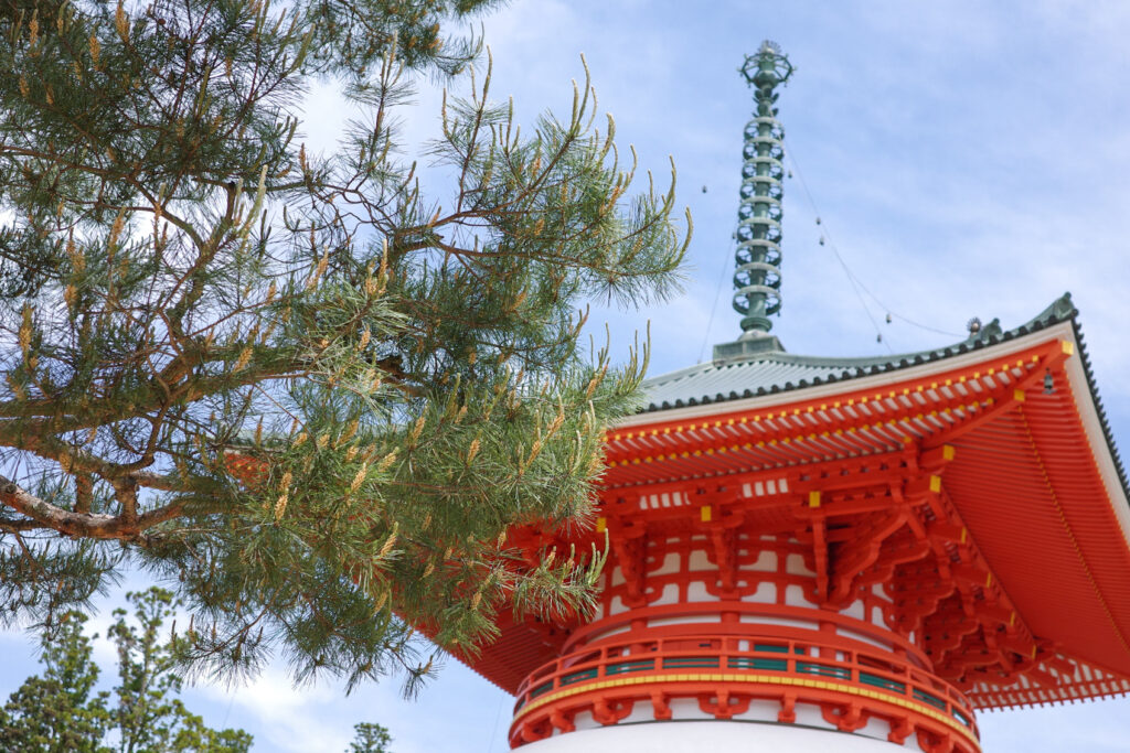 高野山　壇上伽藍　根本大塔　三鈷松