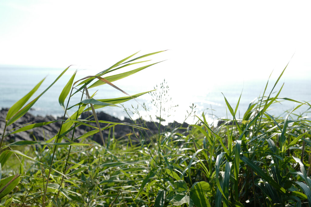 福井2泊3日、雄島