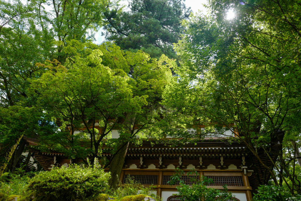 福井2泊3日旅、永平寺