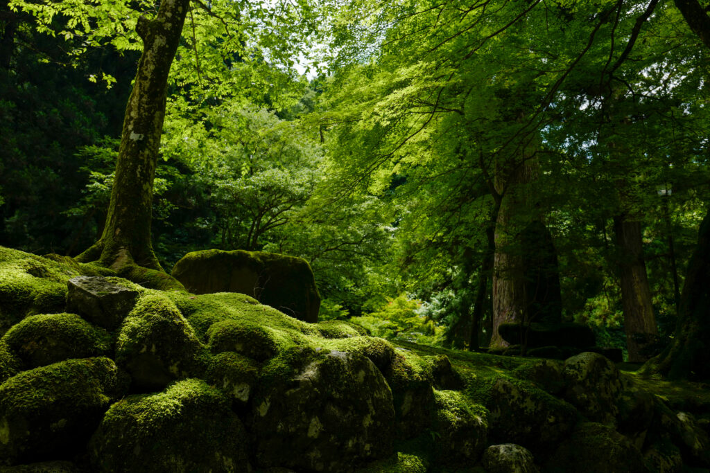 福井2泊3日旅、永平寺