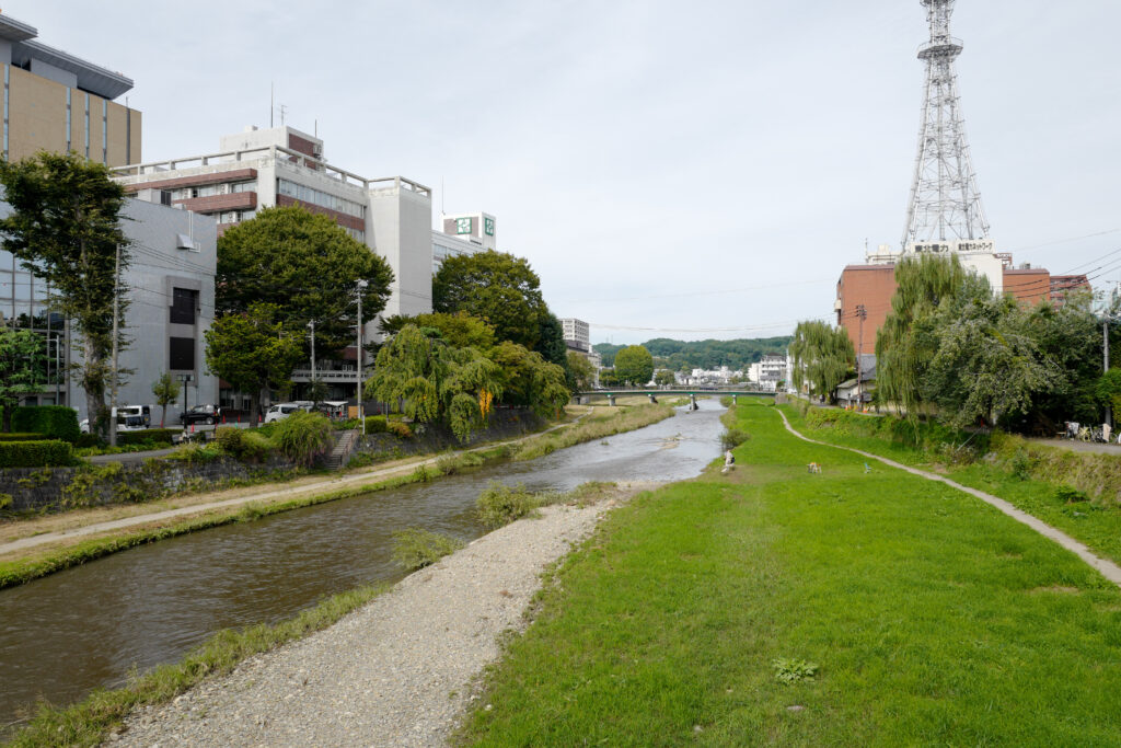 岩手　盛岡市内散策　中津川河畔　銀ドロの木　宮沢賢治　野点