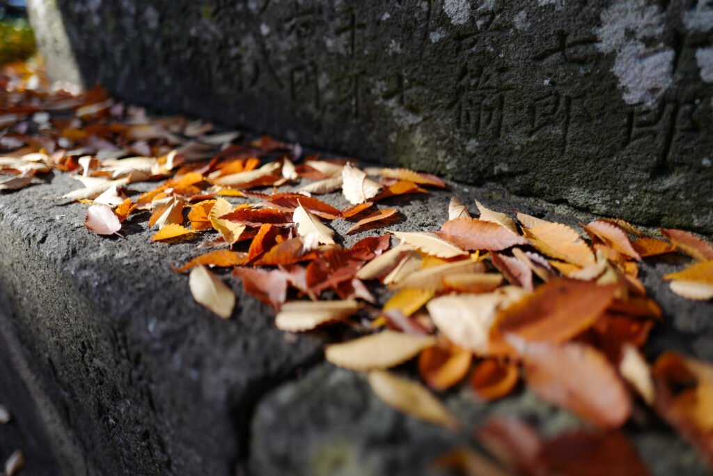 松本散策　深志神社