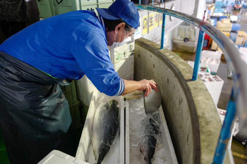 氷見漁港魚市場食堂　寒ぶり　寒ブリ